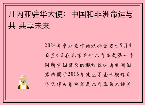 几内亚驻华大使：中国和非洲命运与共 共享未来